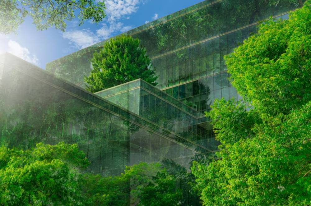 Dia Mundial do Meio Ambiente: um convite à consciência em cada decisão